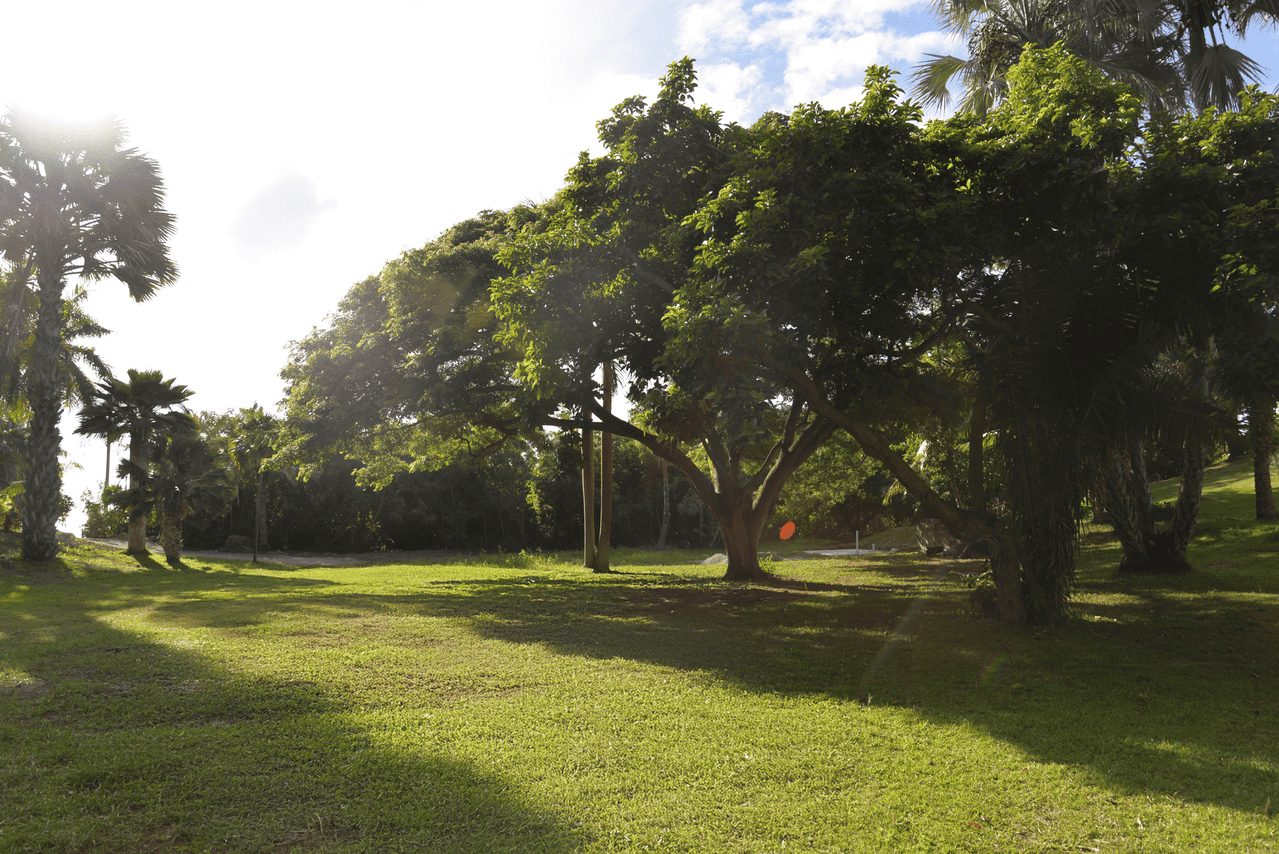 venue 3 palm garden nevis