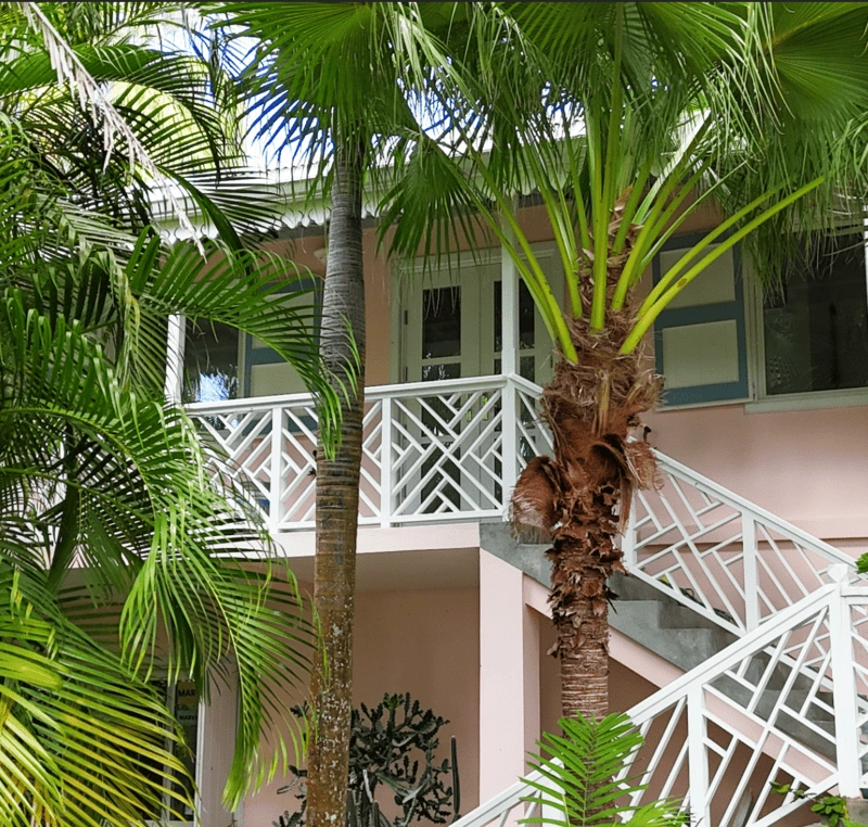 La Maison Guest Cottage Palm Garden