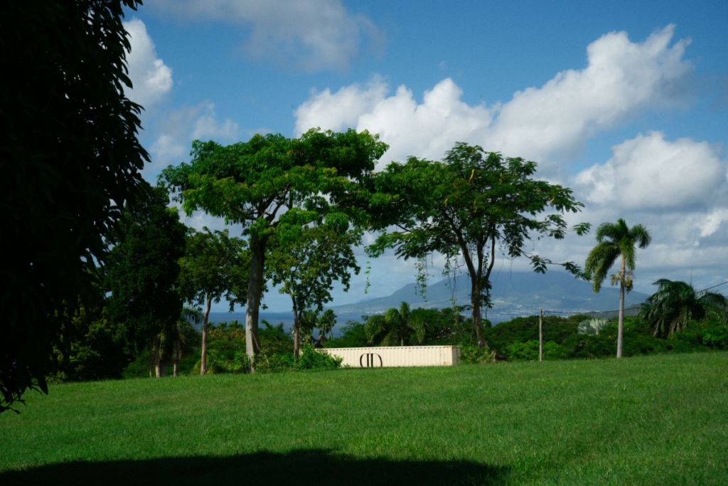 DSC00163