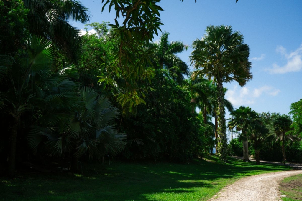 DSC09946