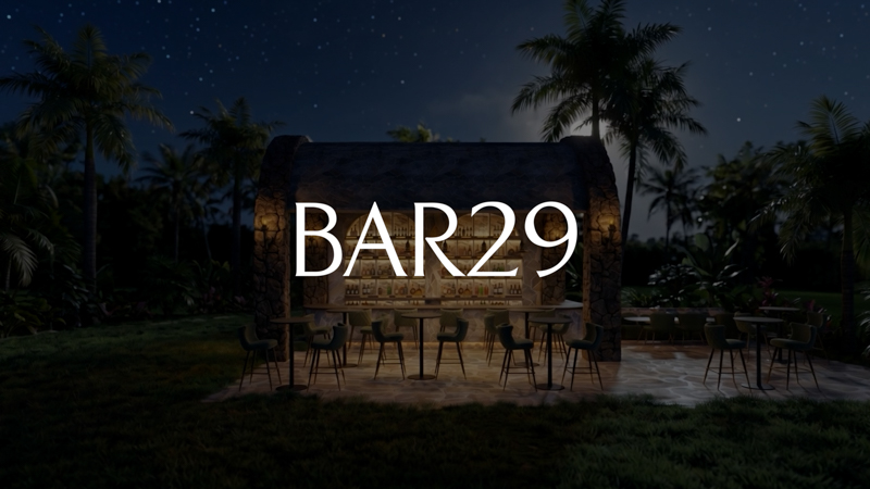 Bar29