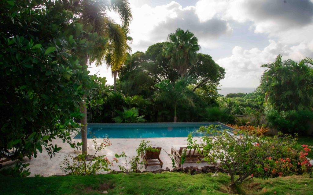 Palm Garden Exterior 3