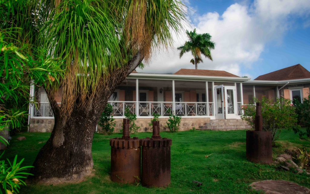 Palm Garden Exterior 4