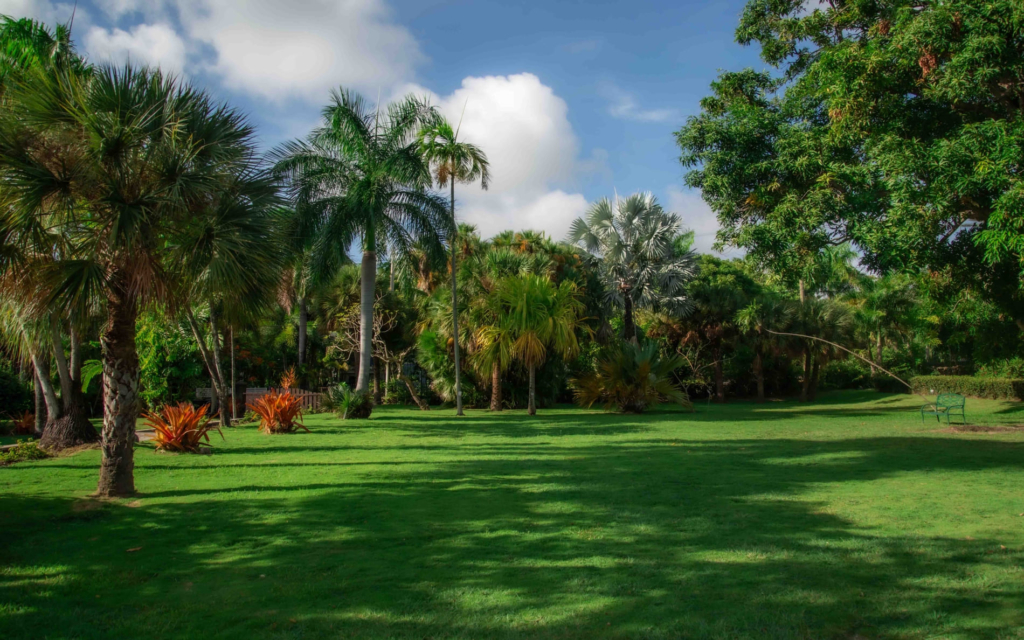 Palm Garden The Mount Exterior
